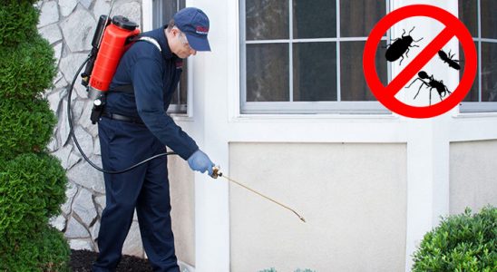 Özalp Kemirgen İlaçlama böcek ilaçlama ve haşere kontrolü — ilaclama-tr.com